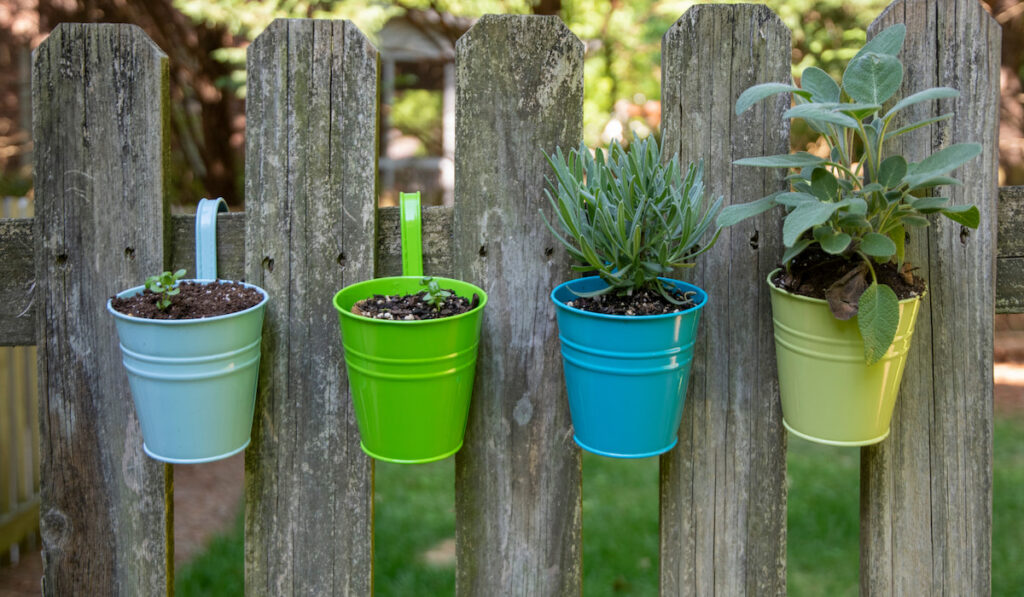 Plants in colorful flowerpots hanging in a wooden picket fence
