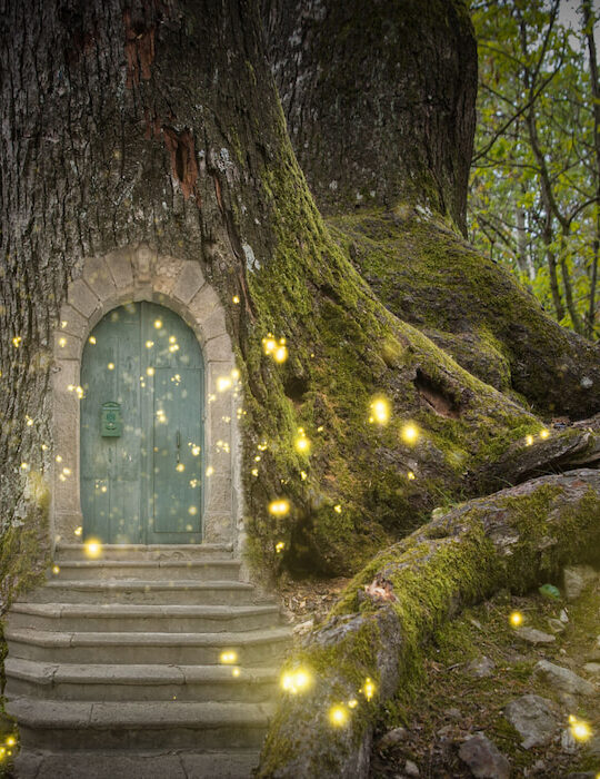 fairy door tree magical concept in the forest