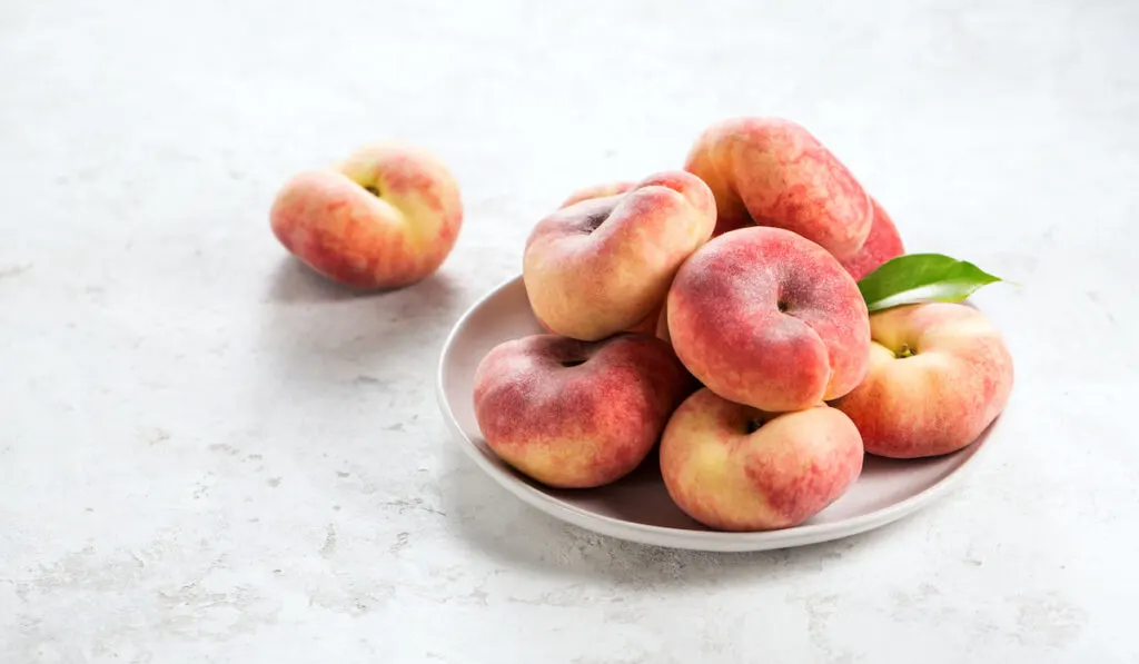 flat donut shape peaches on plate white background