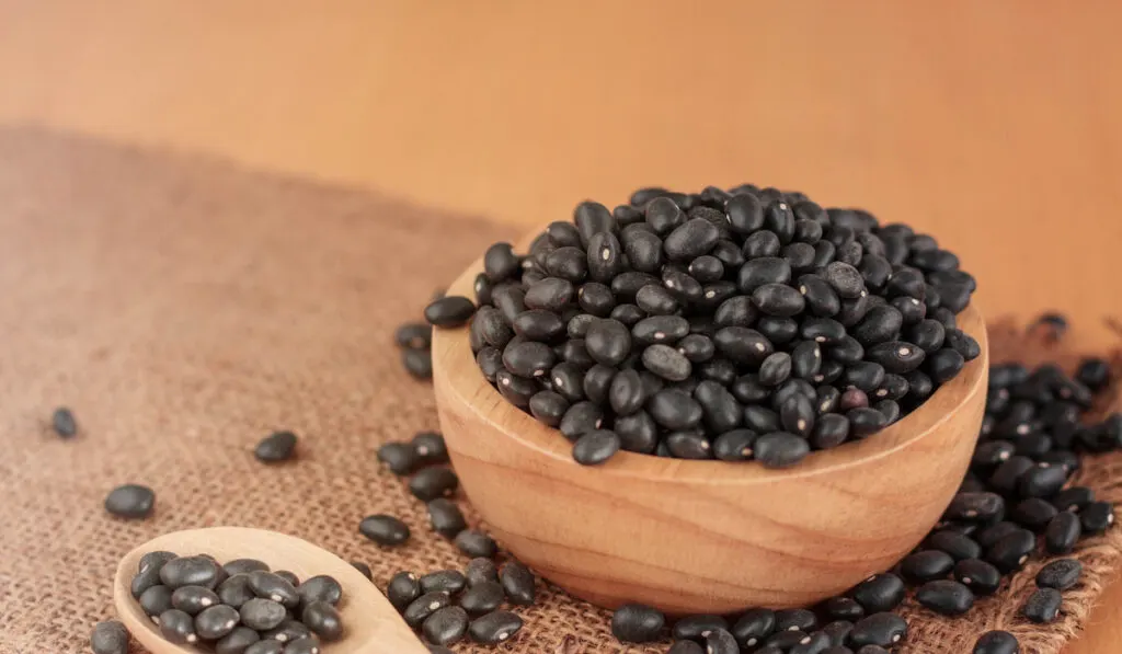Black beans on wooden bowl and wooden spoon