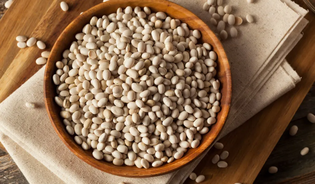 Raw Organic White Navy Beans
