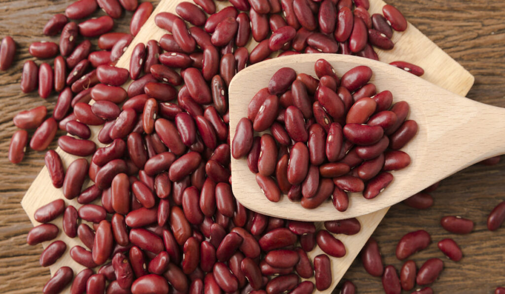Red kidney beans on wooden spoon and wooden board
