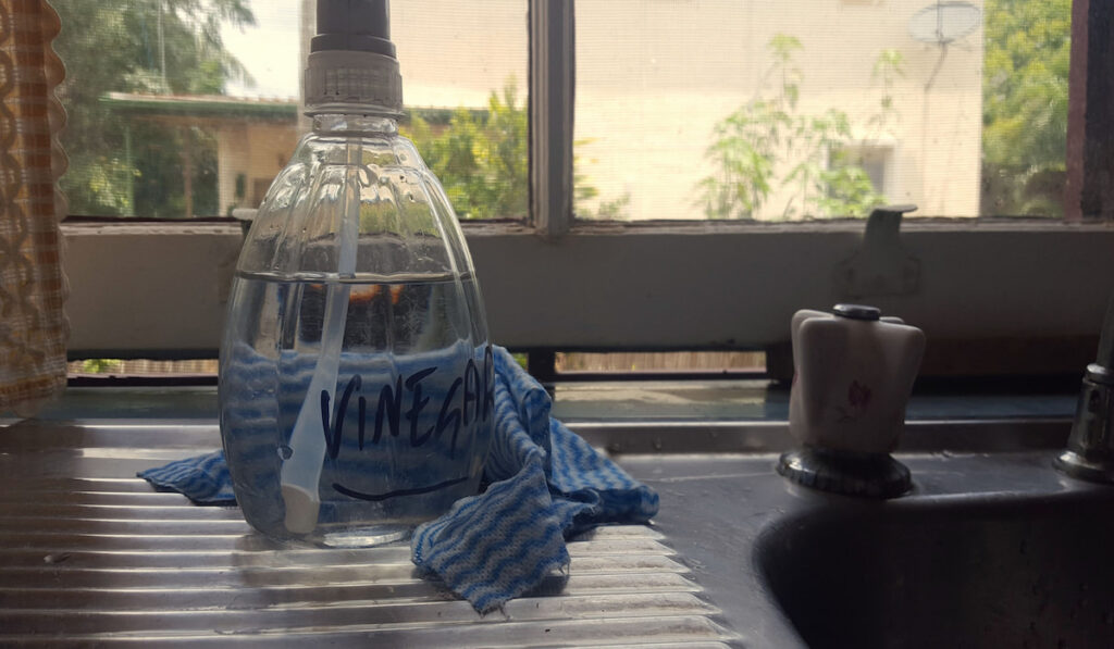 Vinegar in a clear spray bottle