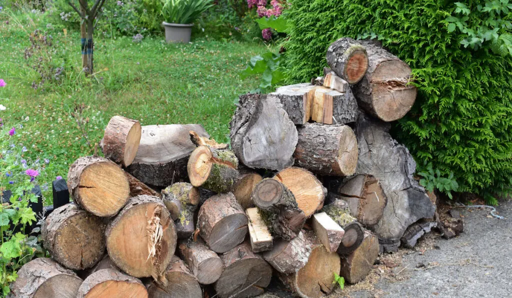 Woodpile of firewood along the garden path