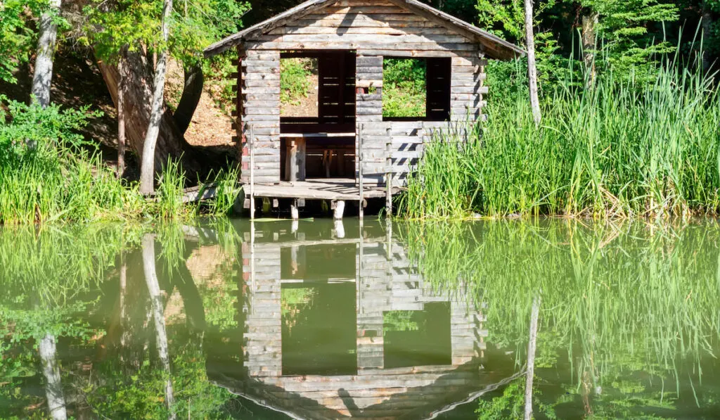 fishing wooden house among the reeds on a sunny day on the shore of a pond
