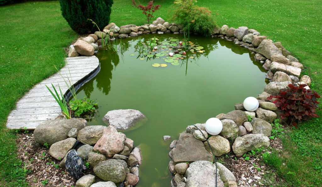 garden fish pond in a  backyard 