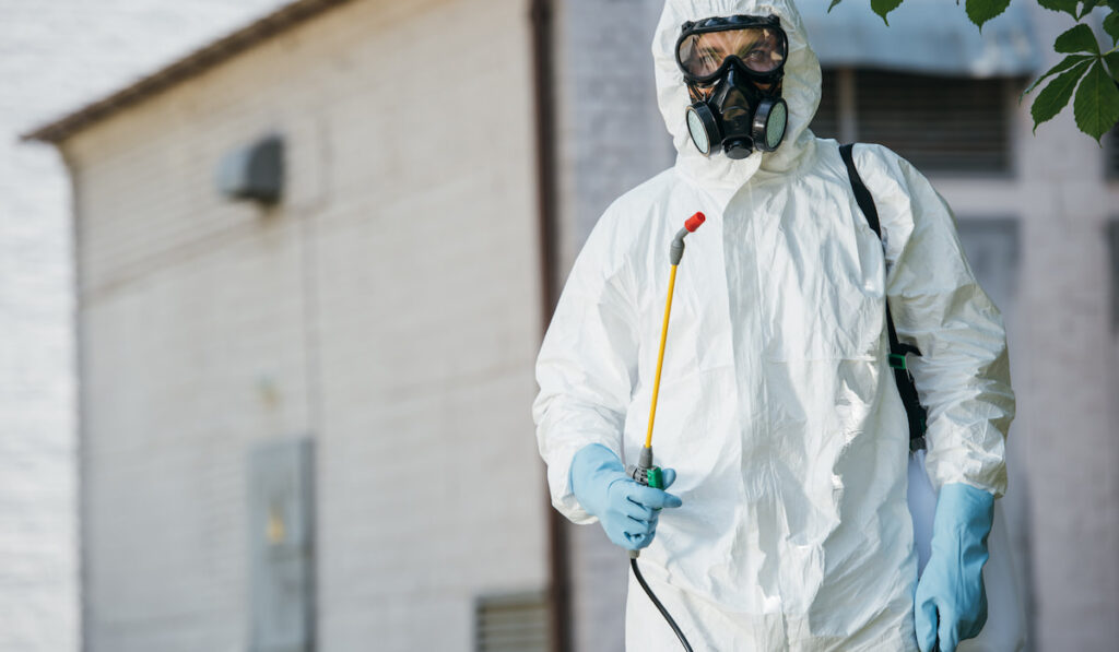 professional pest control worker in respirator holding sprayer