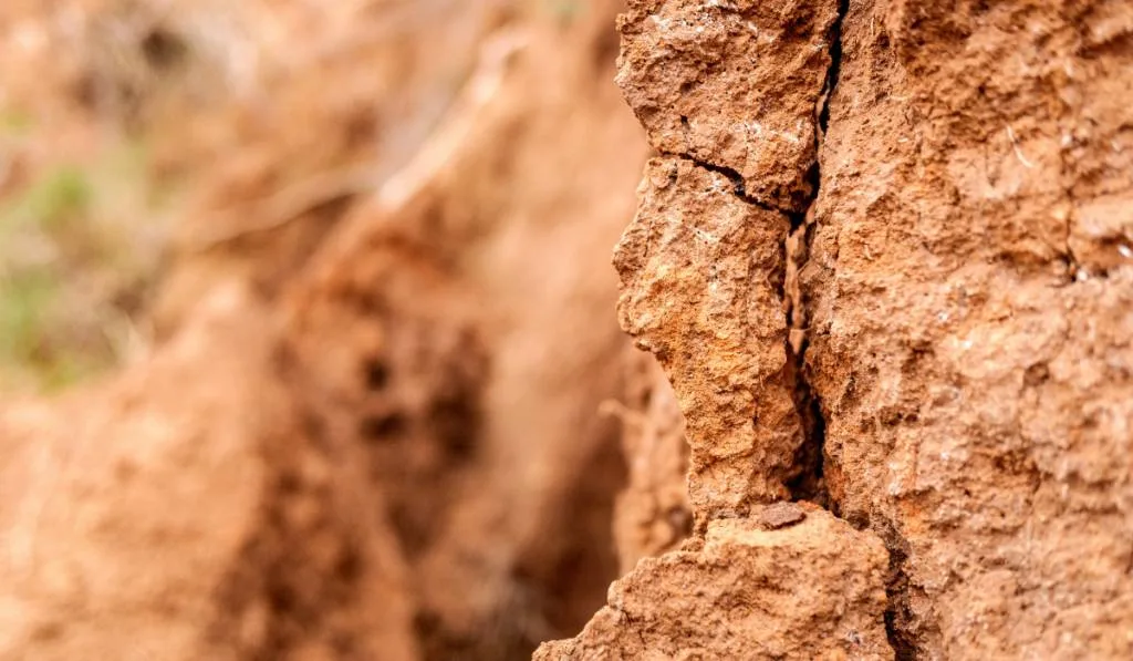 Detail and texture of the earth of a slope with cracks.
