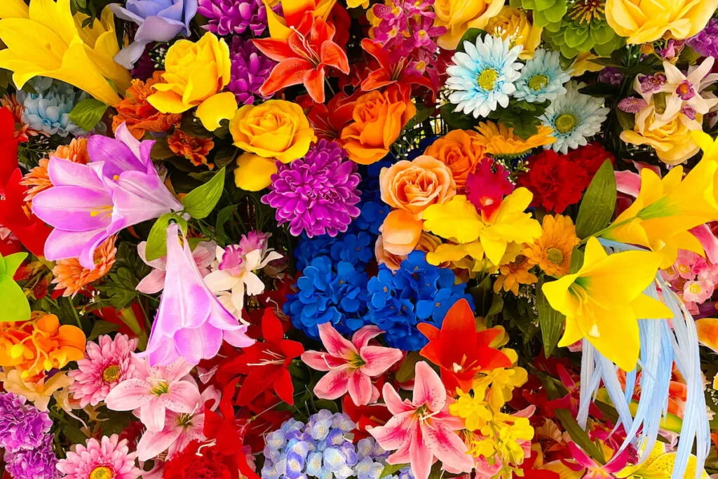 bright vivid colors of flower 