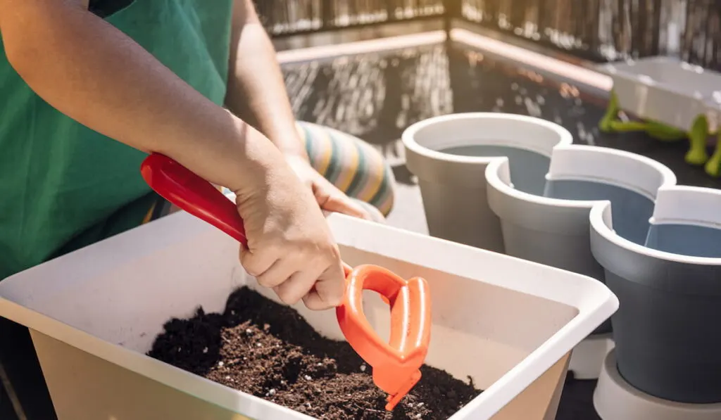 child hands preparing the soil for planting 