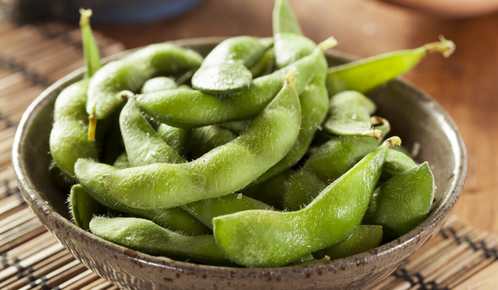 Cooked Green Organic Edamame with sea salt in a ceramic bowl