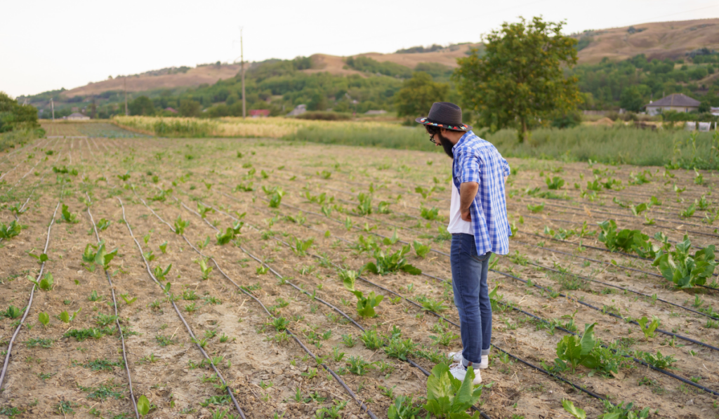 Farmer inspecting his irrigation system.
