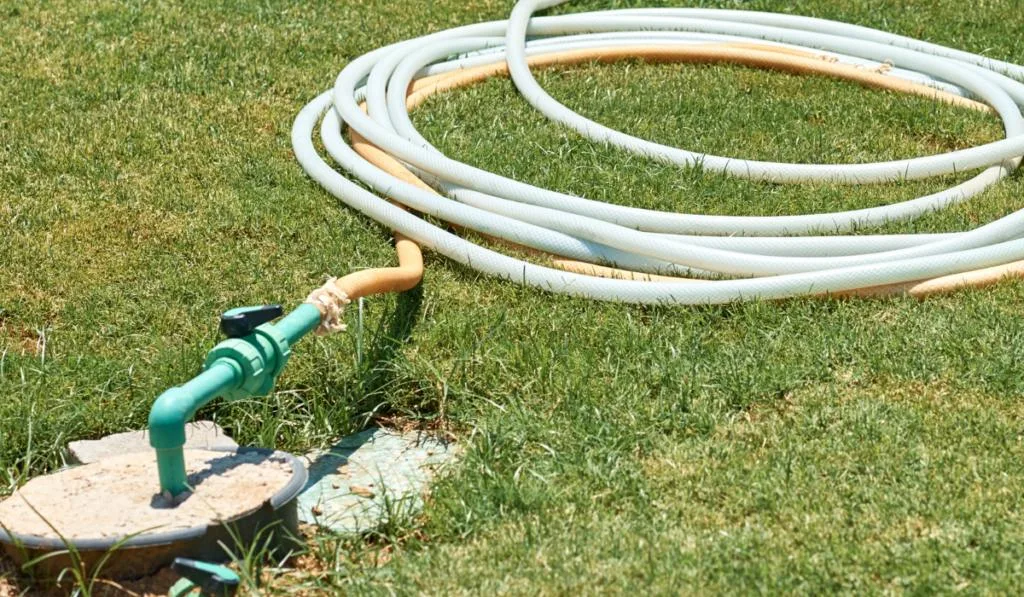 watering hose twisted on the green grass in summer day
