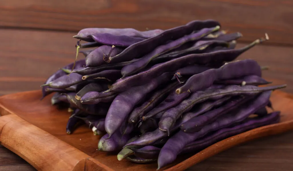 purple string beans on a wooden plate on a wooden background
