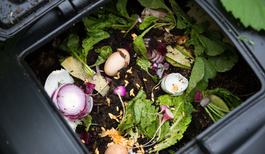 composting - top view of a garbage bin with kitchen scraps with some soil