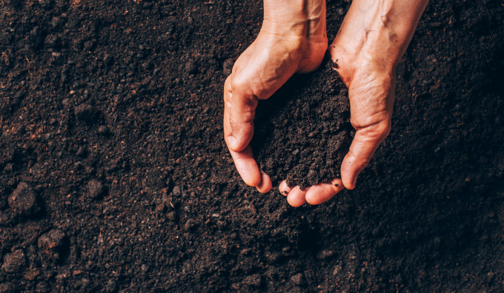 Dirty woman hands holding dark moist soil. Agriculture, organic gardening, planting or ecology