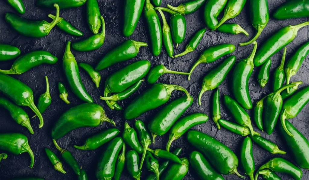 green jalapeno peppers