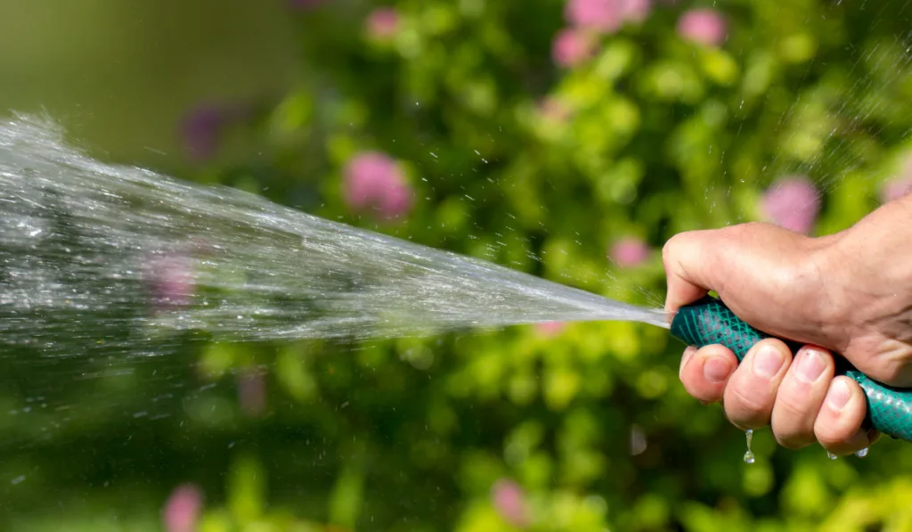 Man watering garden with hose