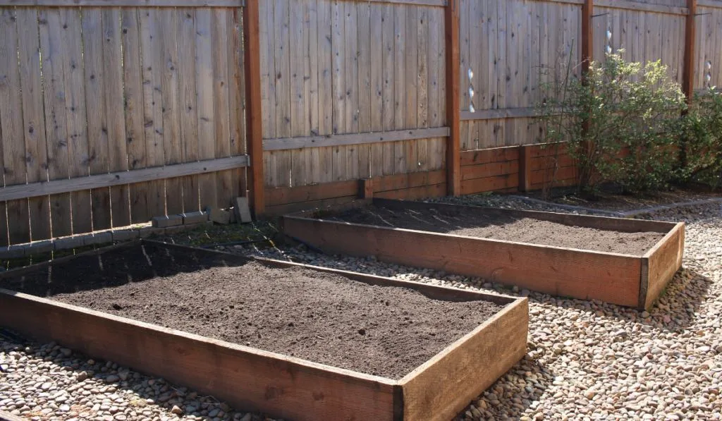 Raised vegetable garden beds ready for planting
