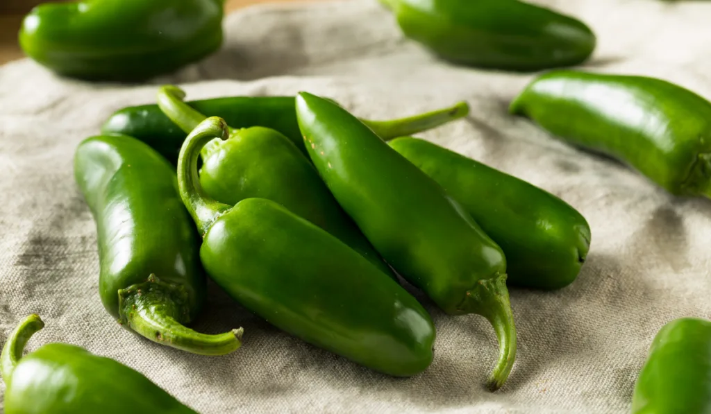 Raw green Organic Jalapeno Peppers 