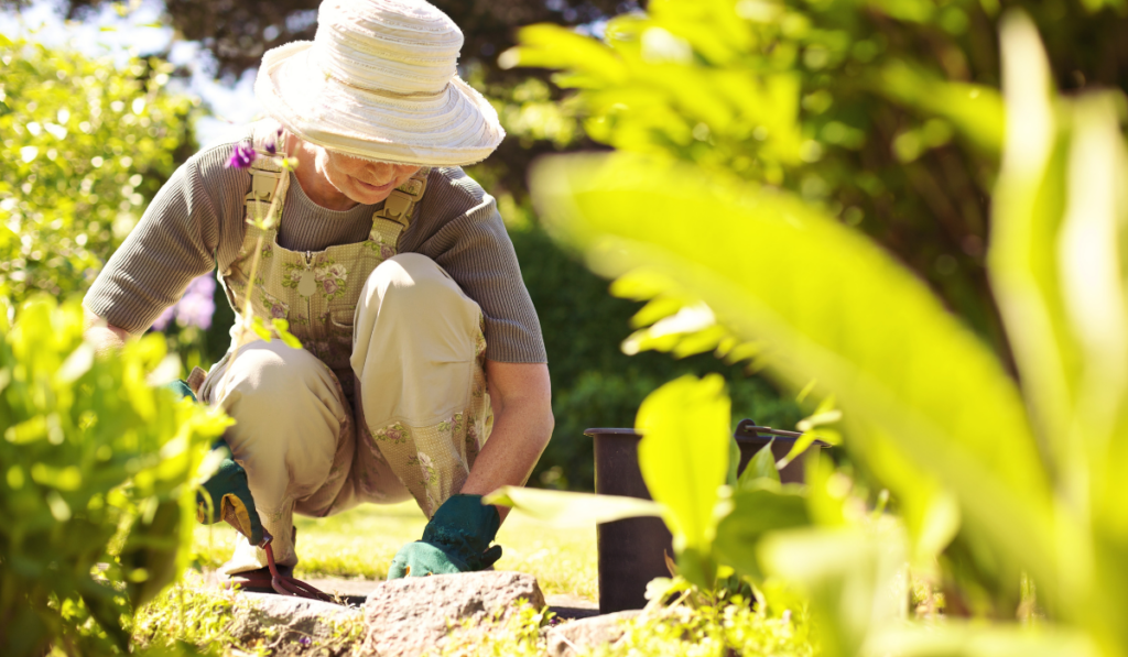 Senior woman with gardening tool working in her backyard garden
