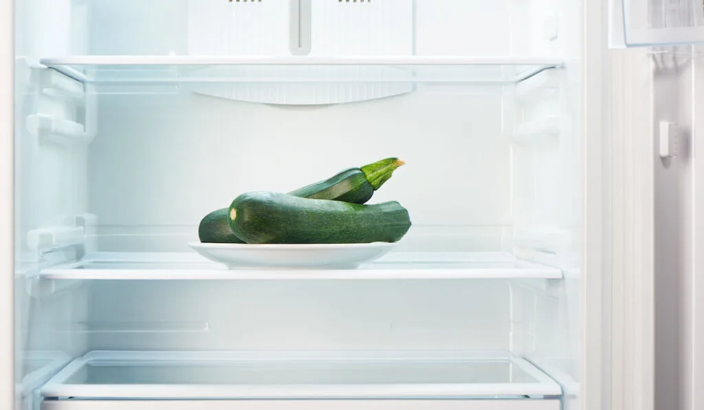 Two green zucchini on white plate in open empty refrigerator