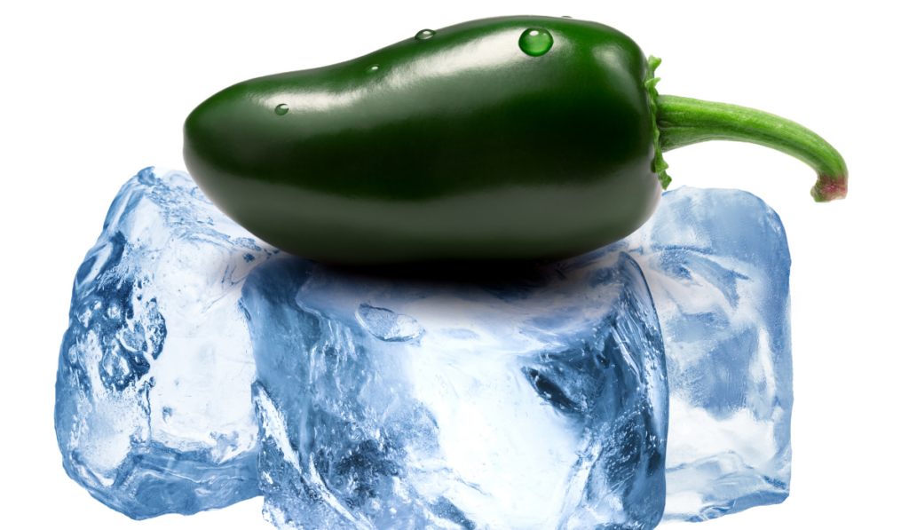 Whole green Jalapeno chile peppers freezing on roughly crushed ice