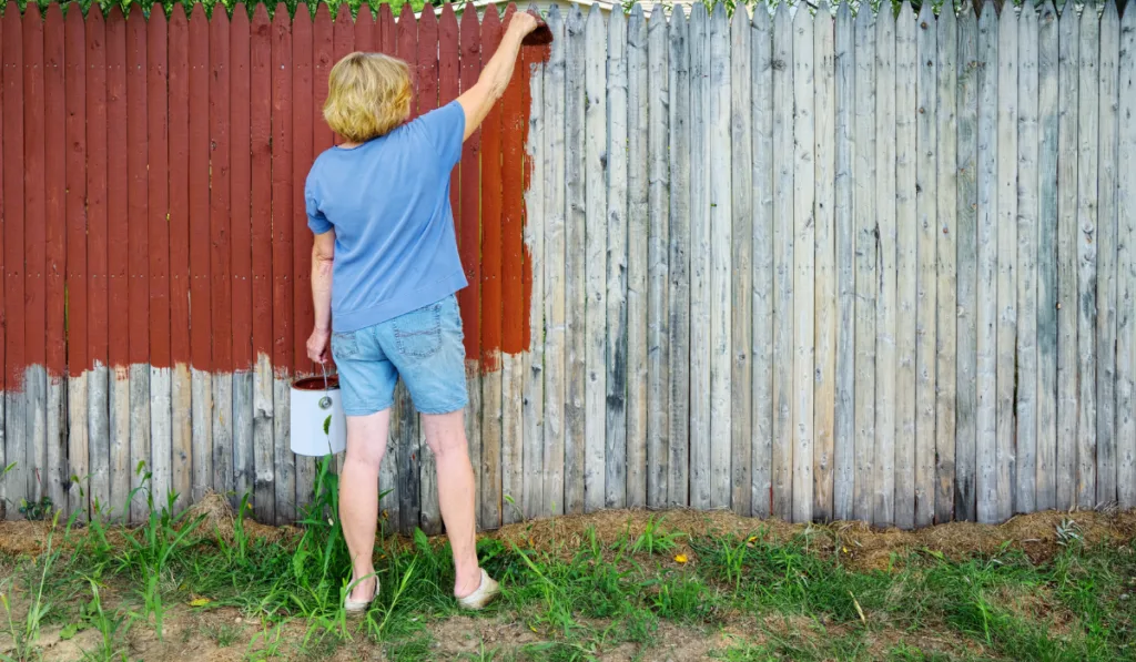 Woman Painting Fence
