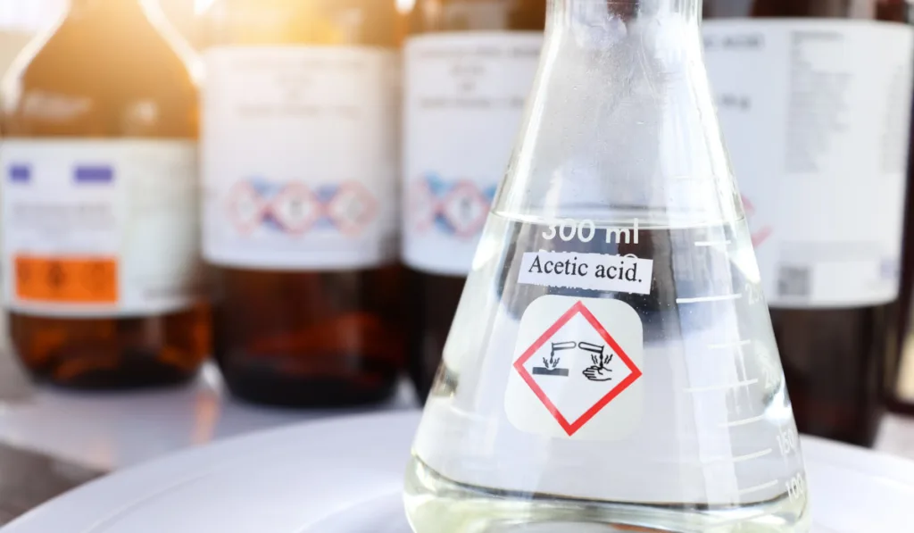 Acetic acid in glass, chemical in the laboratory and industry
