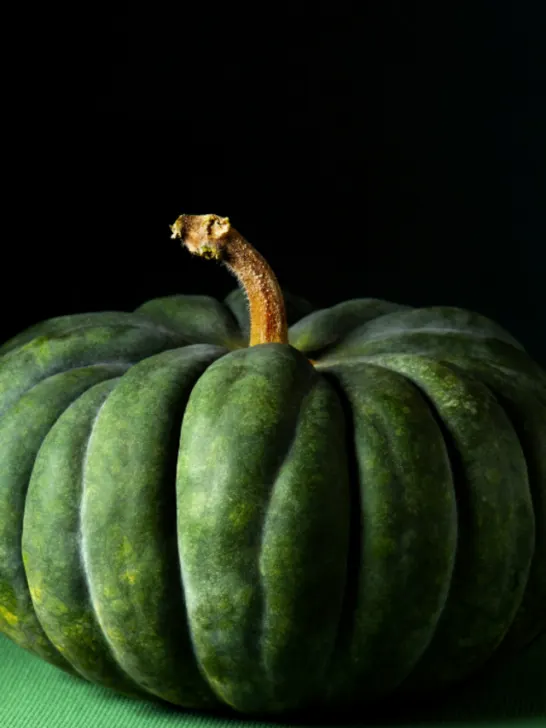 Green Pumpkin - ee221130