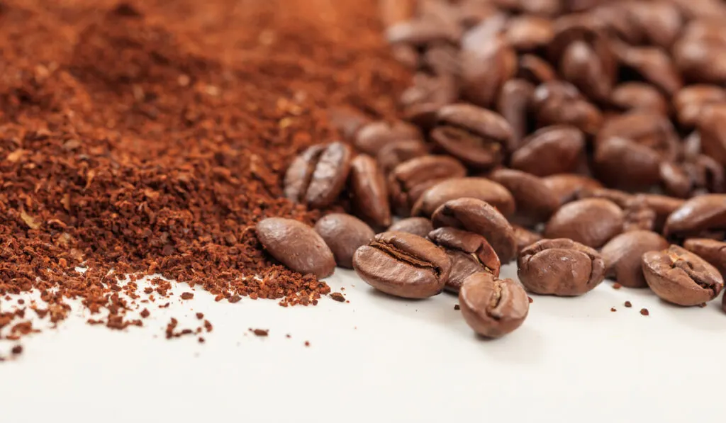 Coffee beans and coffee ground on white background