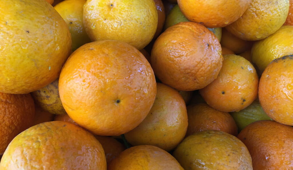 Jaffa Orange Organic Fruits 