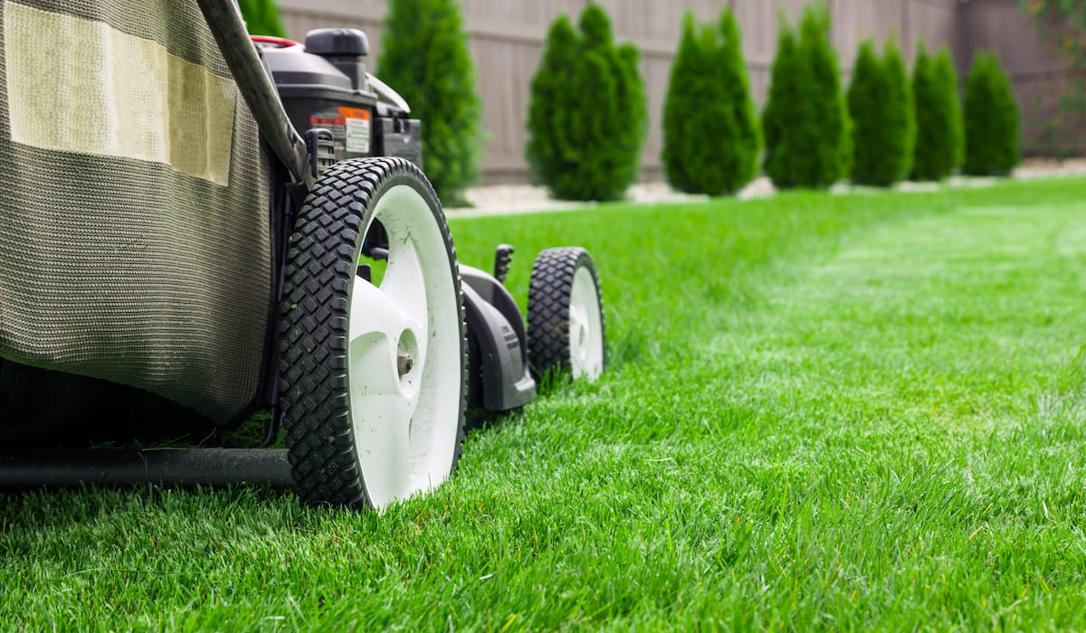 How Do You Mow Your Lawn For The First Time A Beginners Guide Crate how-do-you-mow-your-lawn-for-the-first-time-a-beginners-guide-crate