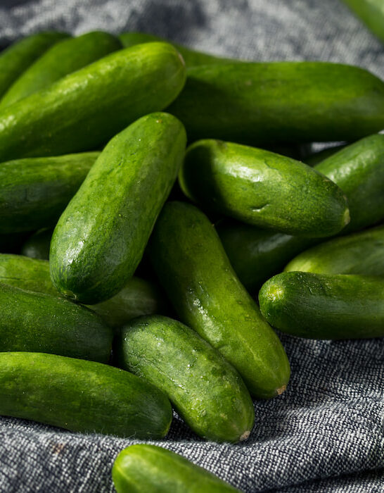 Raw-green-organic-mini-cucumbers-on-cloth-on-the-table