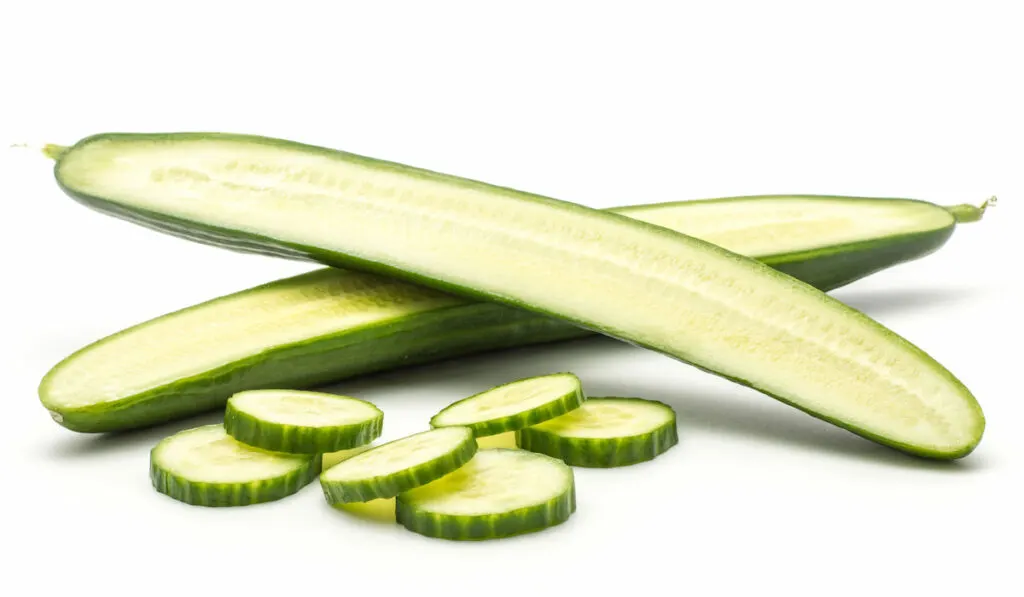 Sliced burpless or seedless cucumber on white background