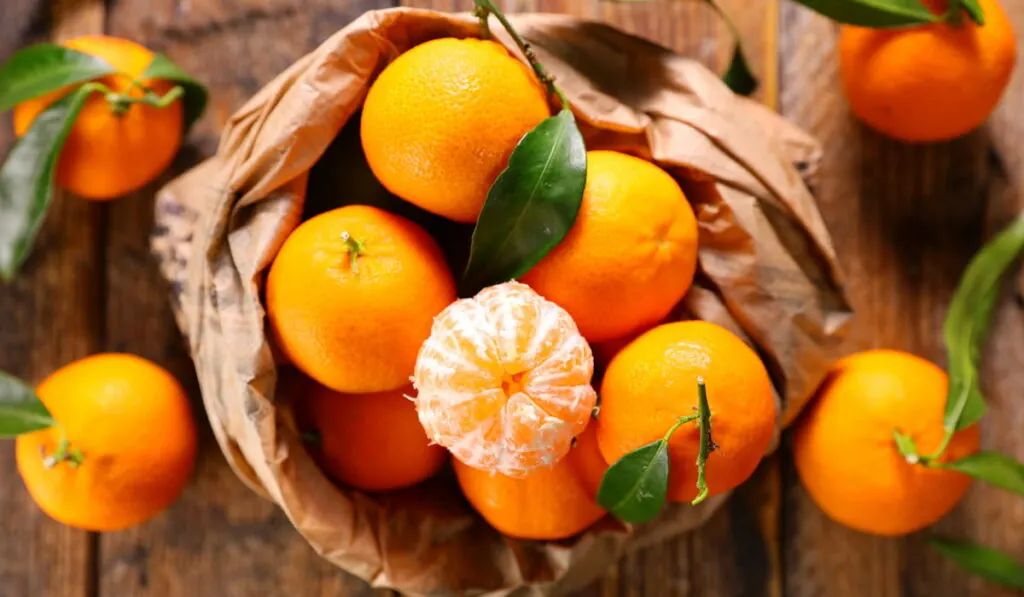 clementine orange 