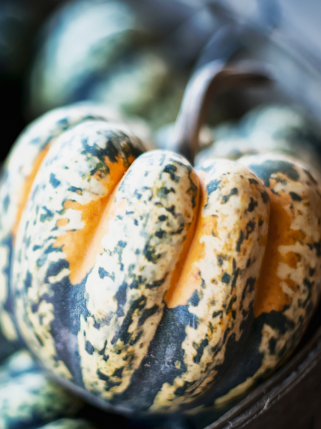5 Vegetables That Can Be Cross-Pollinated With Pumpkin