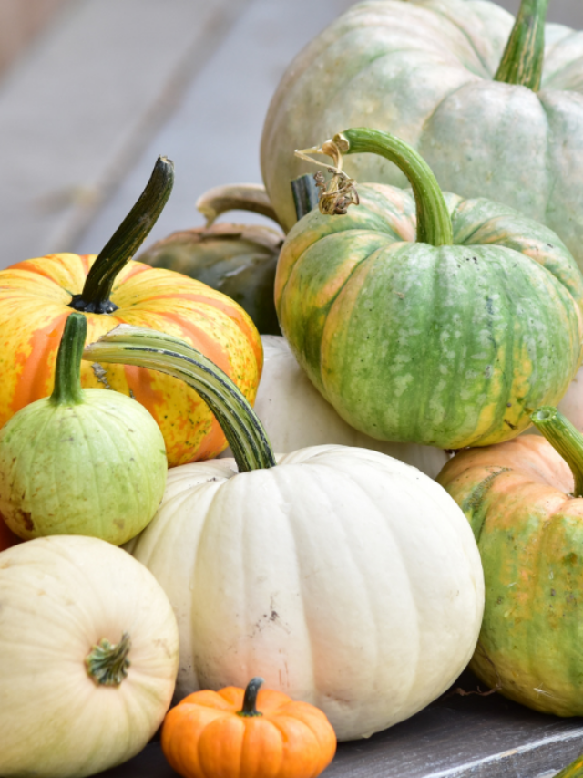 17 Types of Heirloom Pumpkins