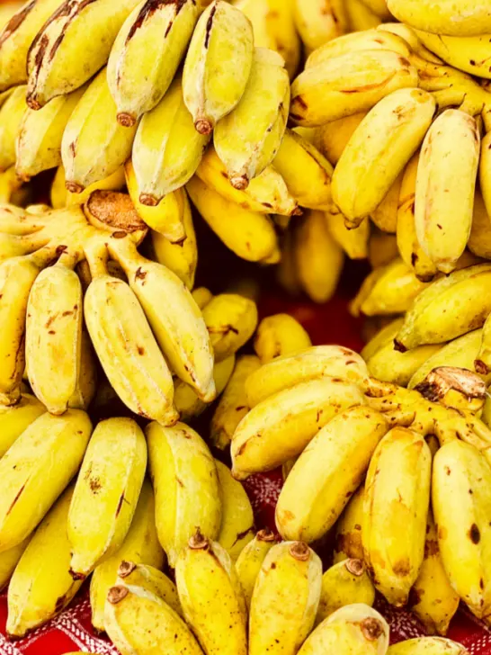 Ladyfinger bananas - ee221227