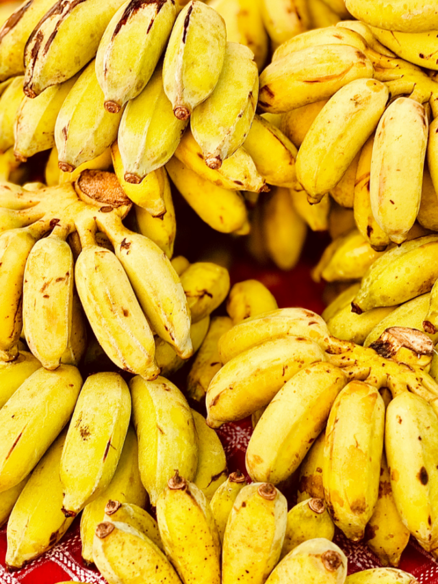 10 Types of Bananas in Florida
