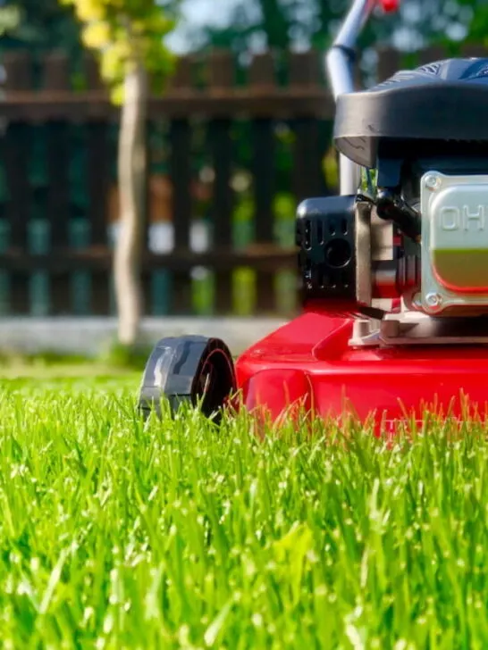 cropped-lawn-mower-ss221210.jpg
