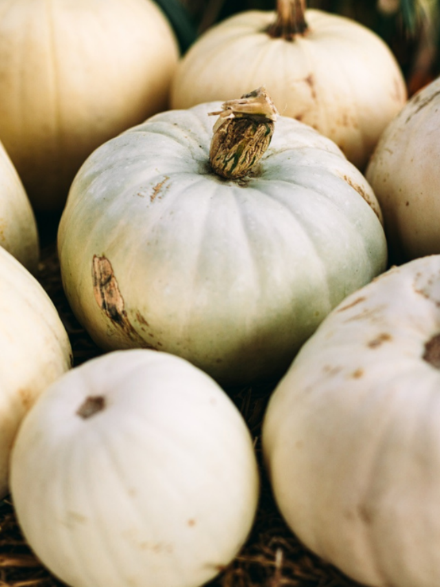 9 Types of White Pumpkins