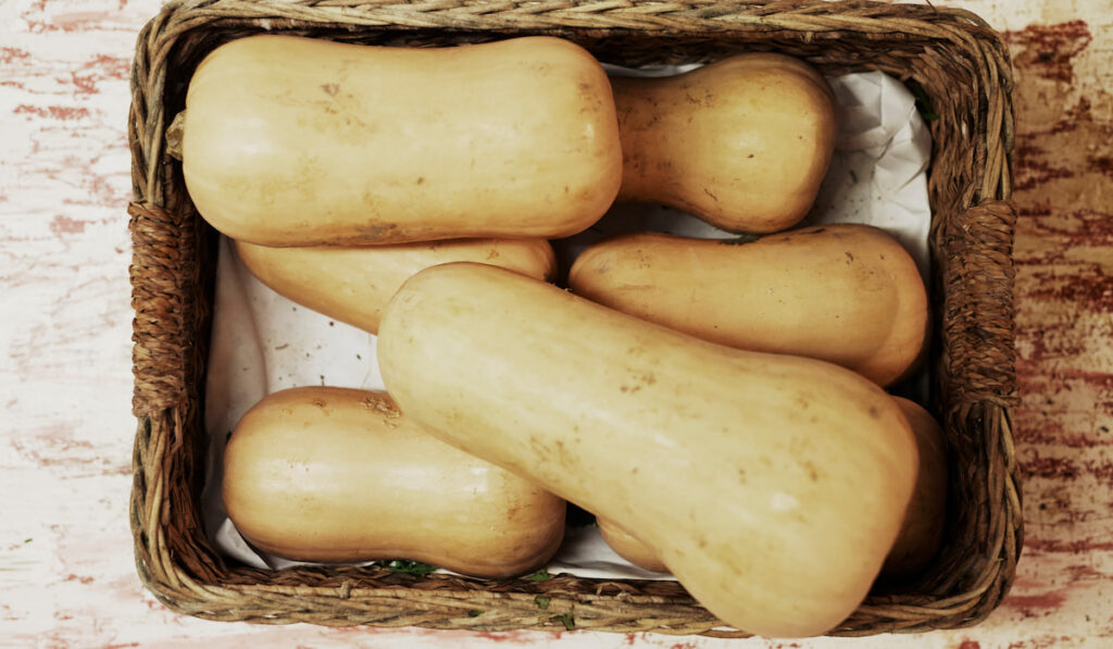 Pile of butternut squash in a basket on a wooden surface