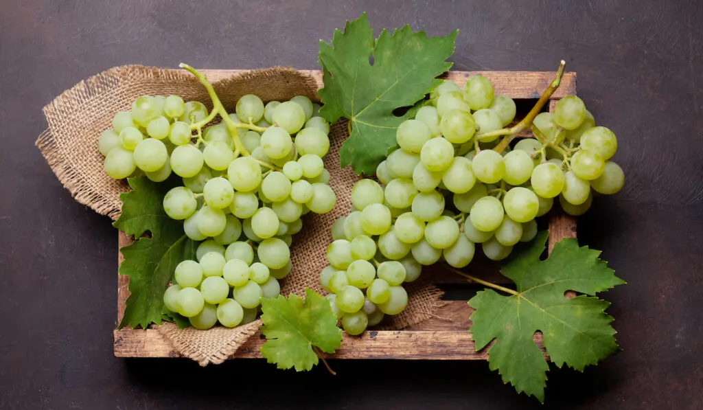 white grapes in wooden box