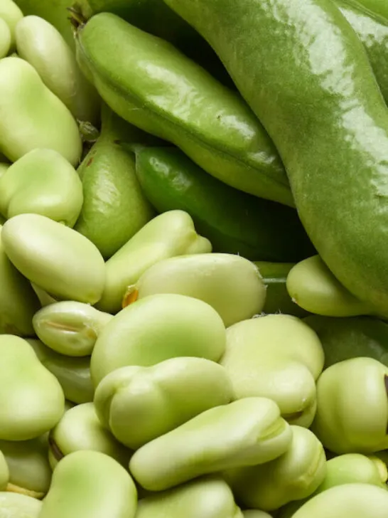fava beans