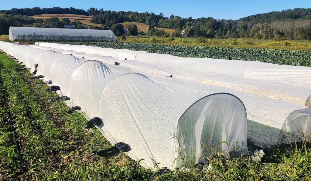 greenhouse and white row covers on foreground in a dynamic agricultural image on a farm