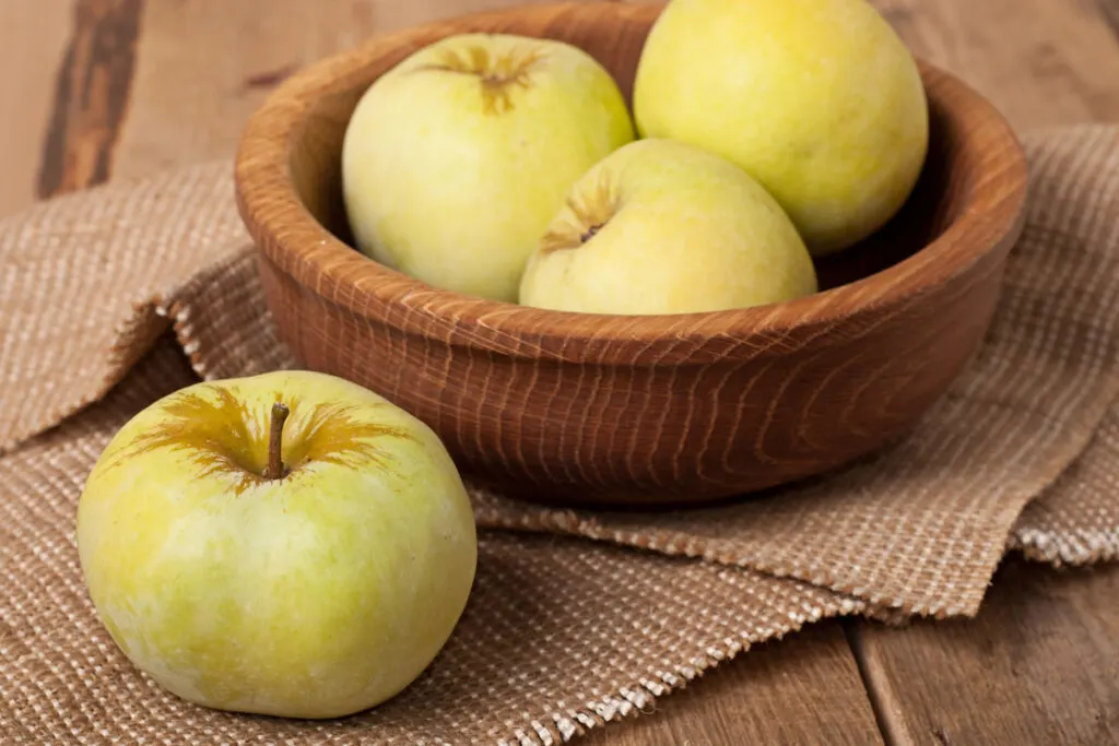 Antonovka apples in wooden bowl on wooden table