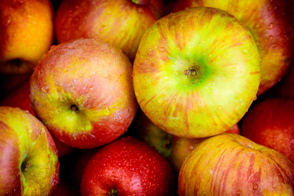 Closeup shot of Honeycrisp Applees with water drops