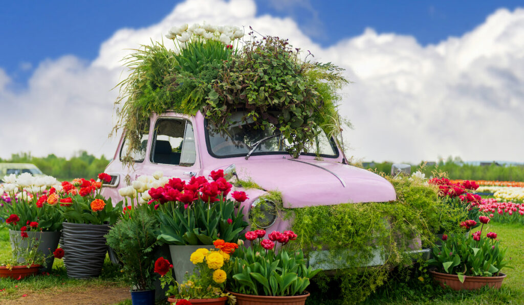 Flowers composition with pink retro car
