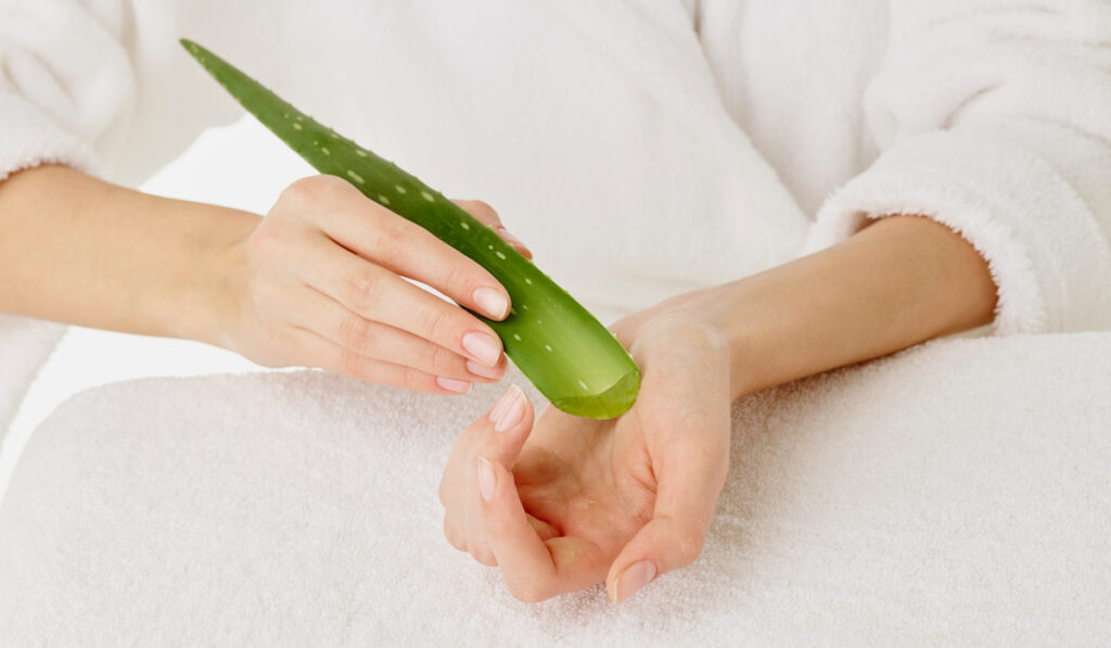 young woman holding aloe vera on her hand
